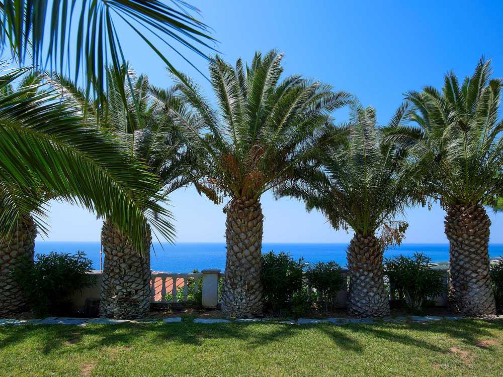 Aroma Creta Hotel Куцунари Интериор снимка